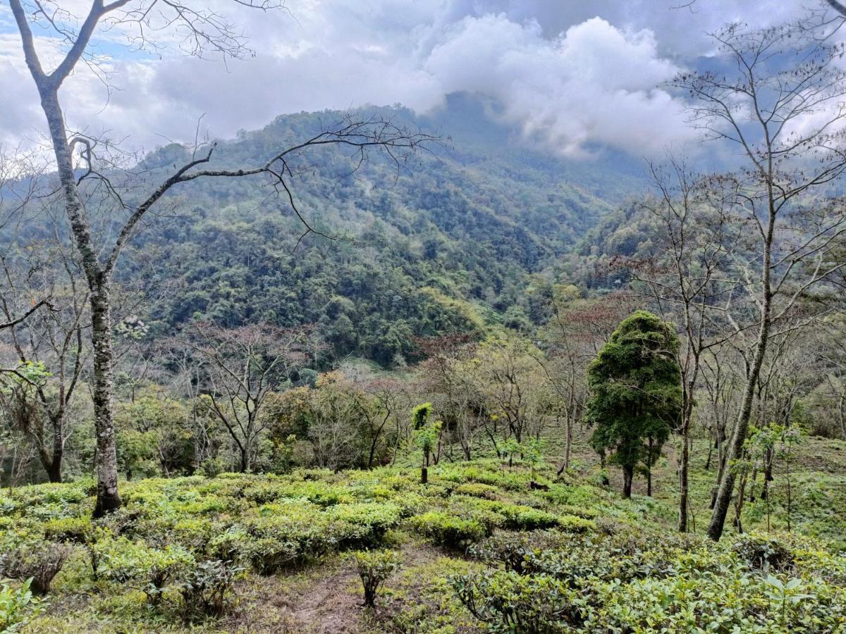 Live In Nature 다르질링 외부 사진